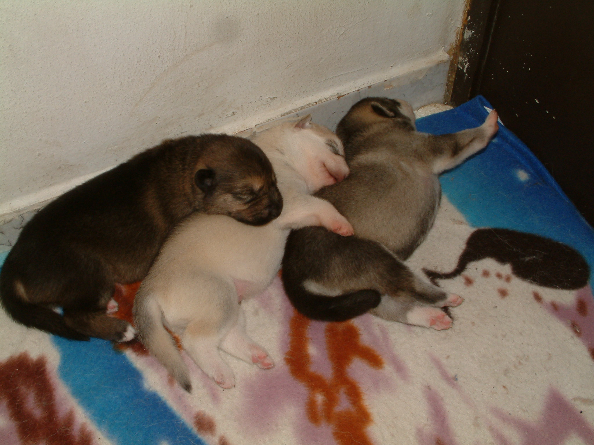 DSCF000799.JPG