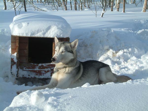 Bounty_in_the_snow.jpg