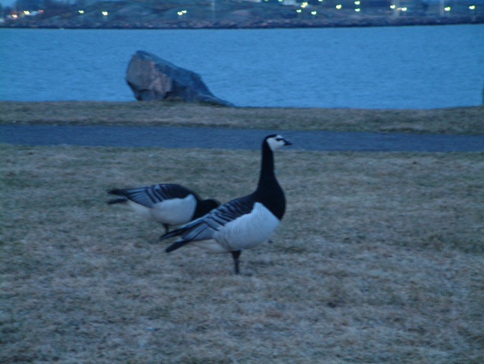 DSCF00243.jpg