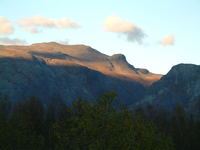 view2.jpg