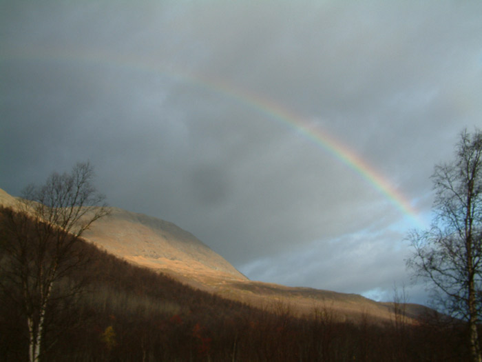 Rainbow
