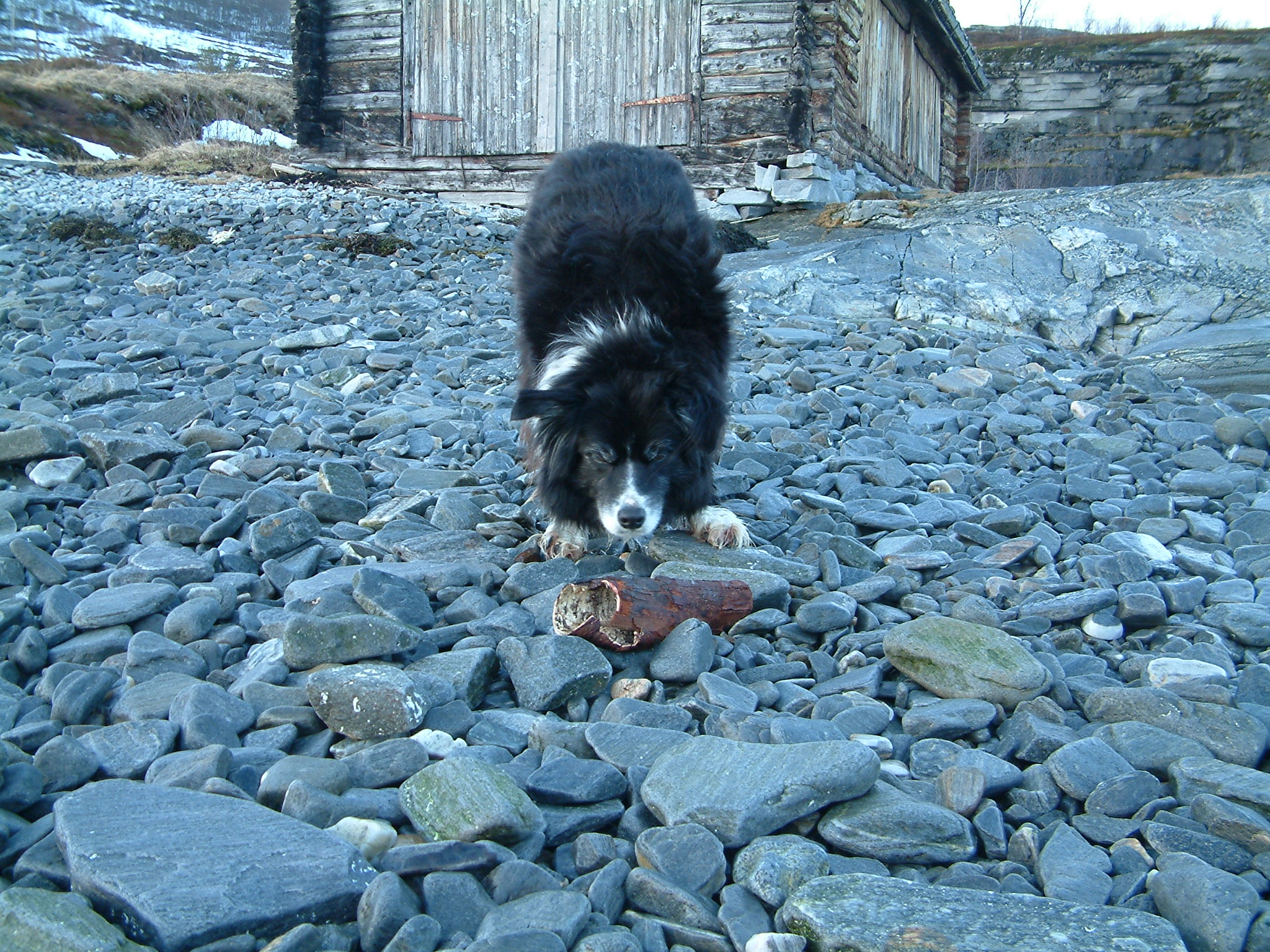 2011_april (27)