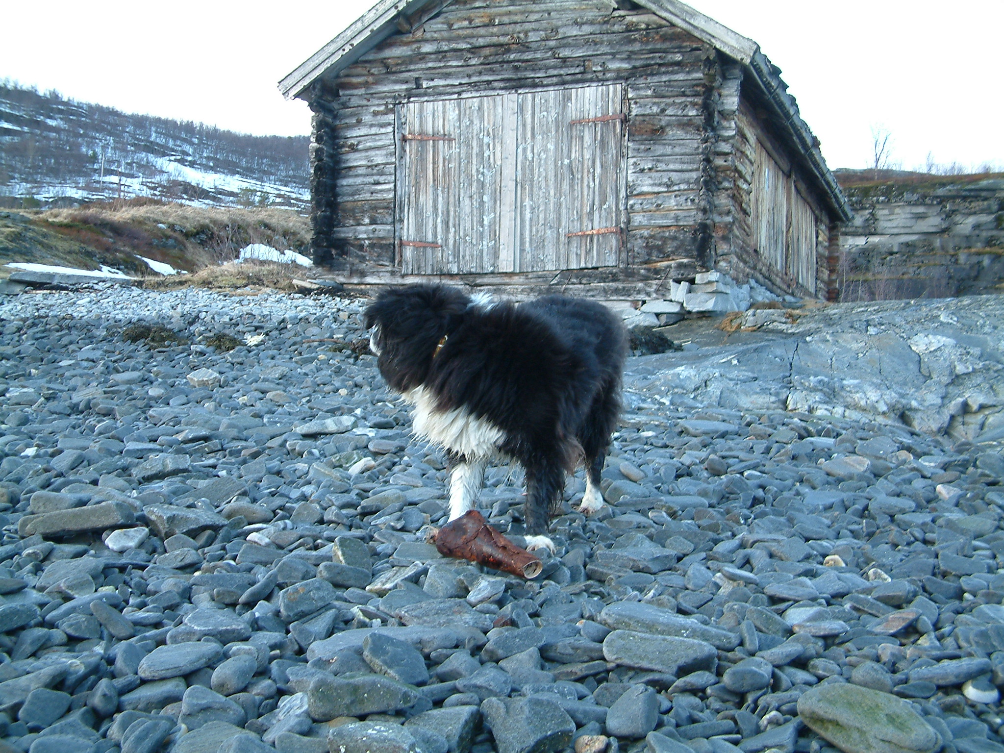 2011_april (26)