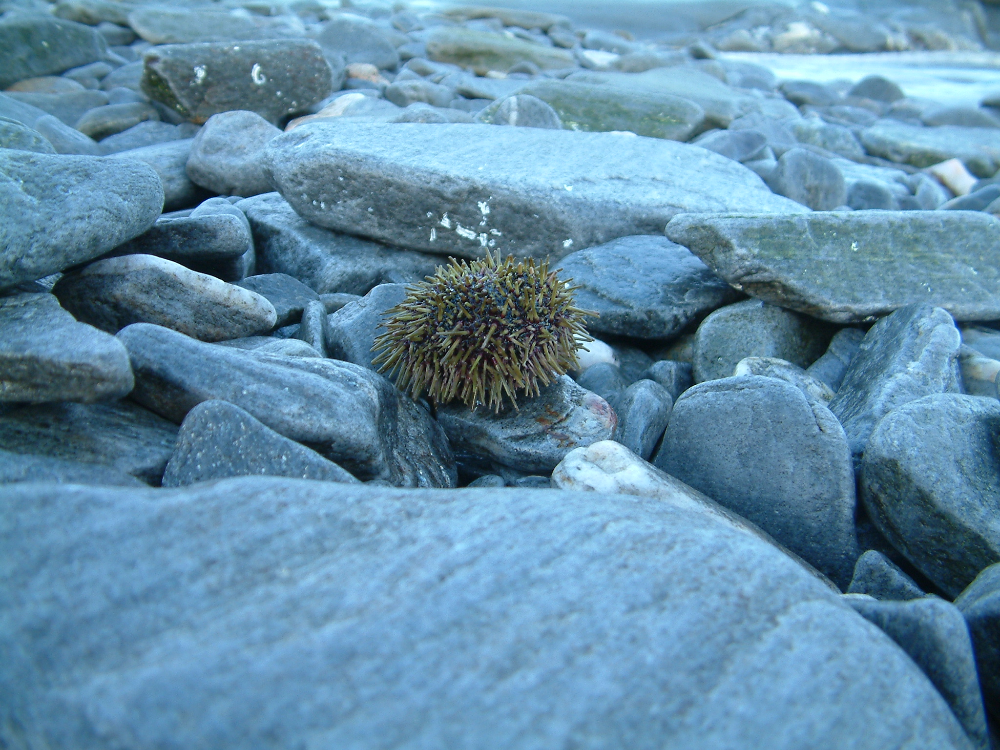 2011_april (24)