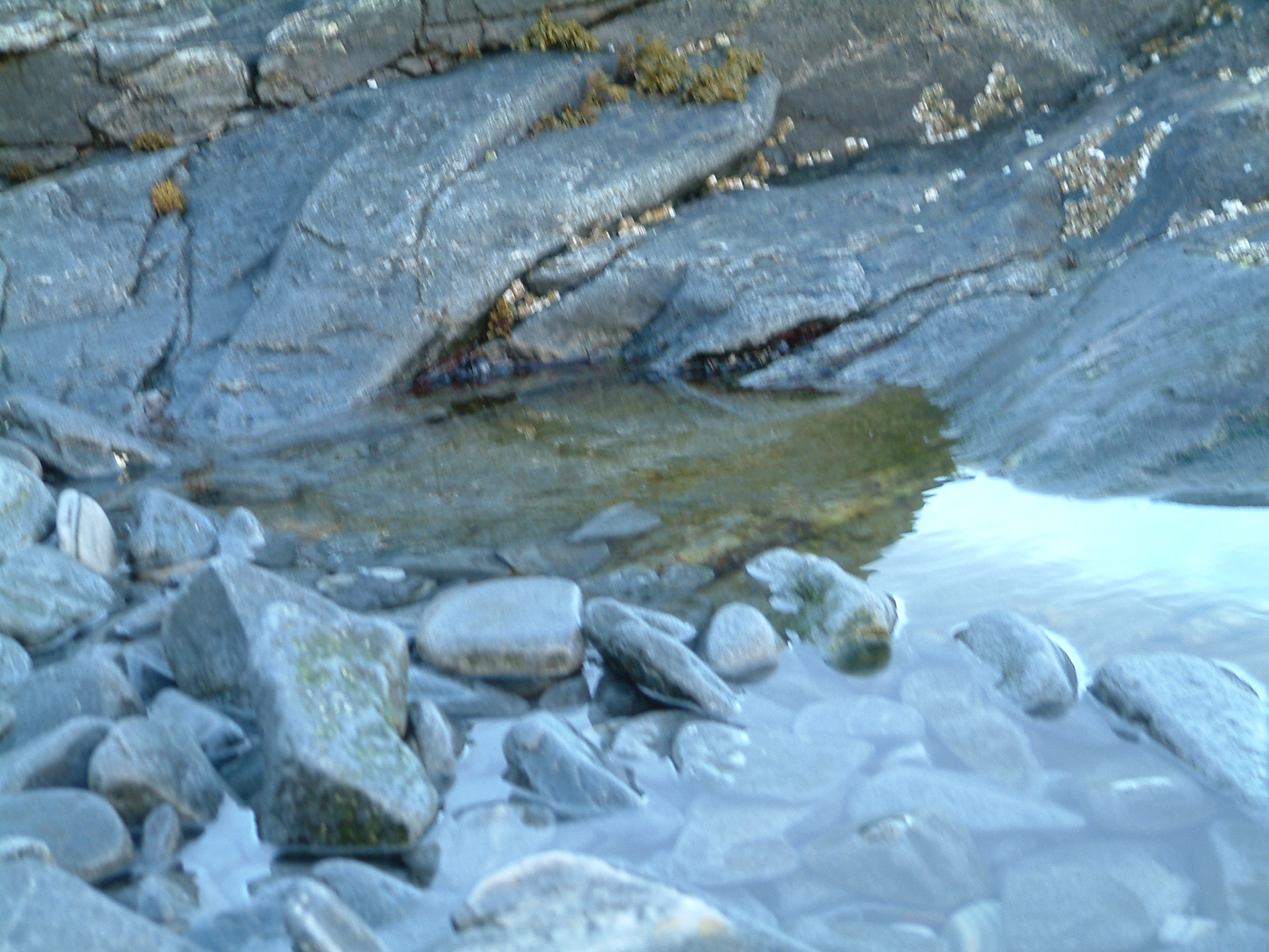 2011_april (23)