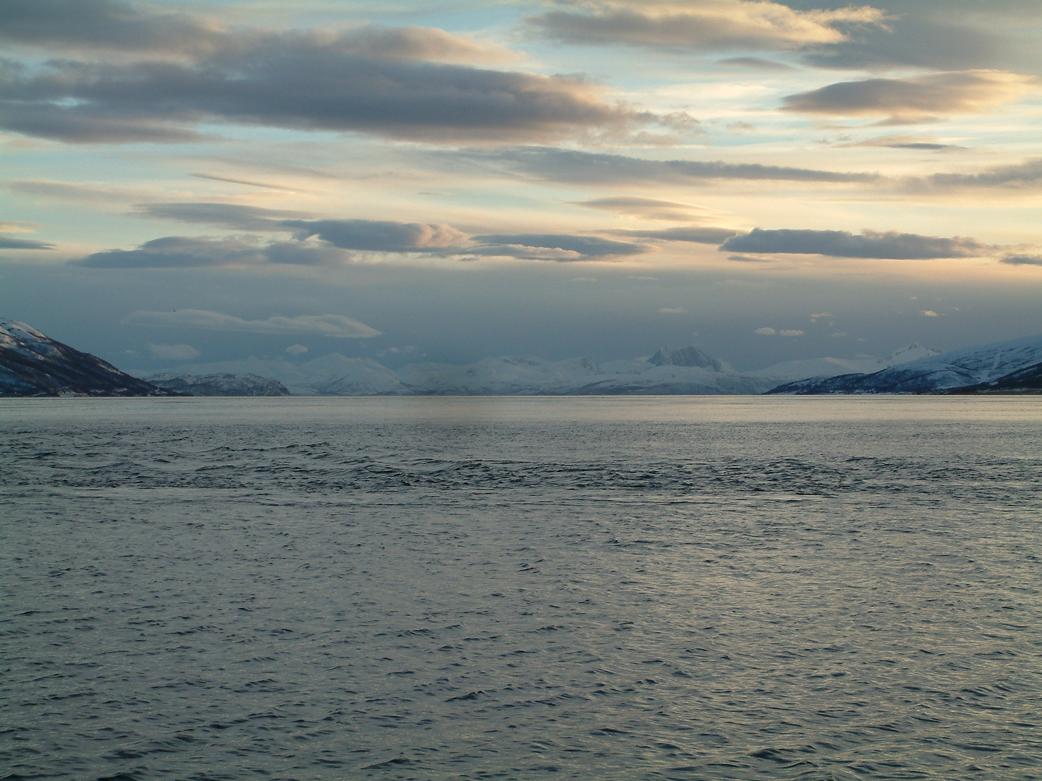 2011_april (22)