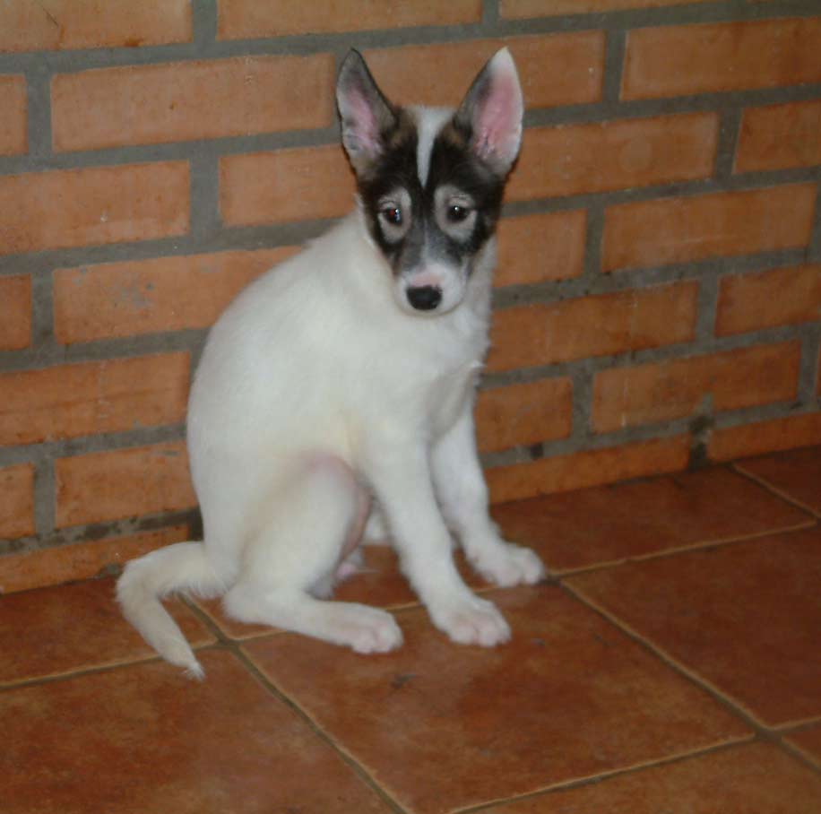 Cathrina_2web