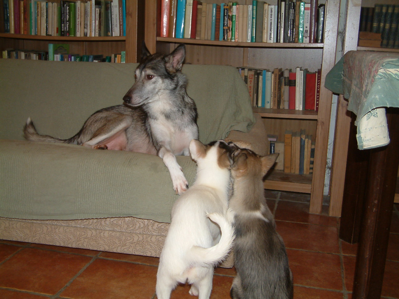 Lena_Chitina_és_Cathrina
