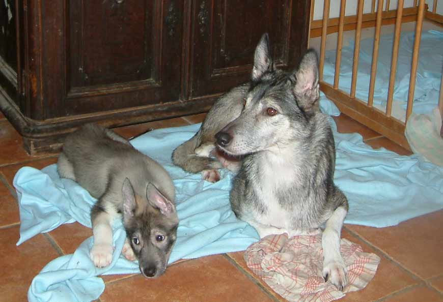 Lena&Chena_web