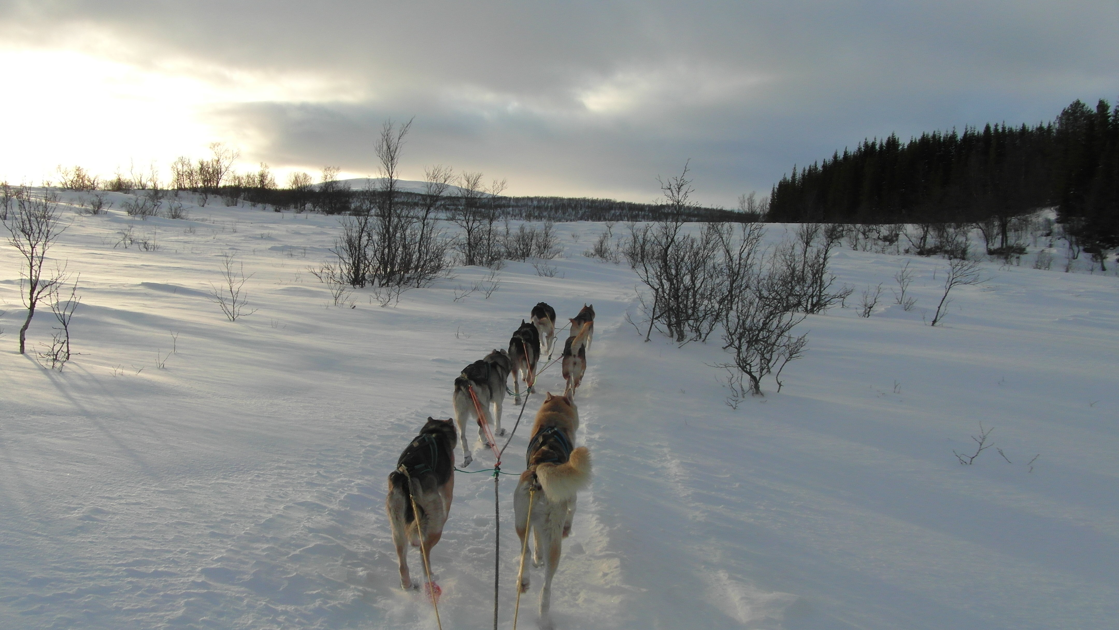 SAM_0407