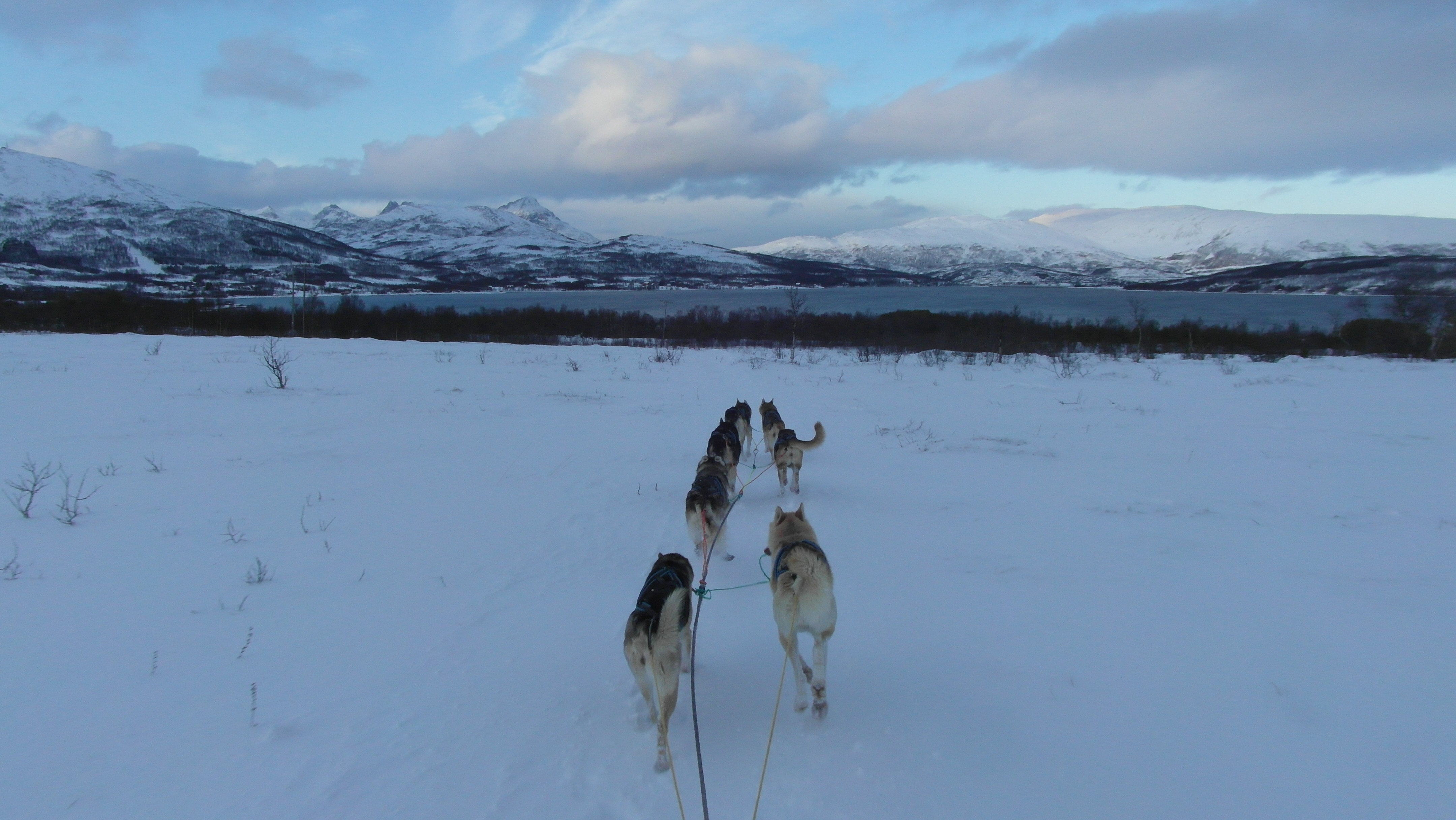SAM_0448
