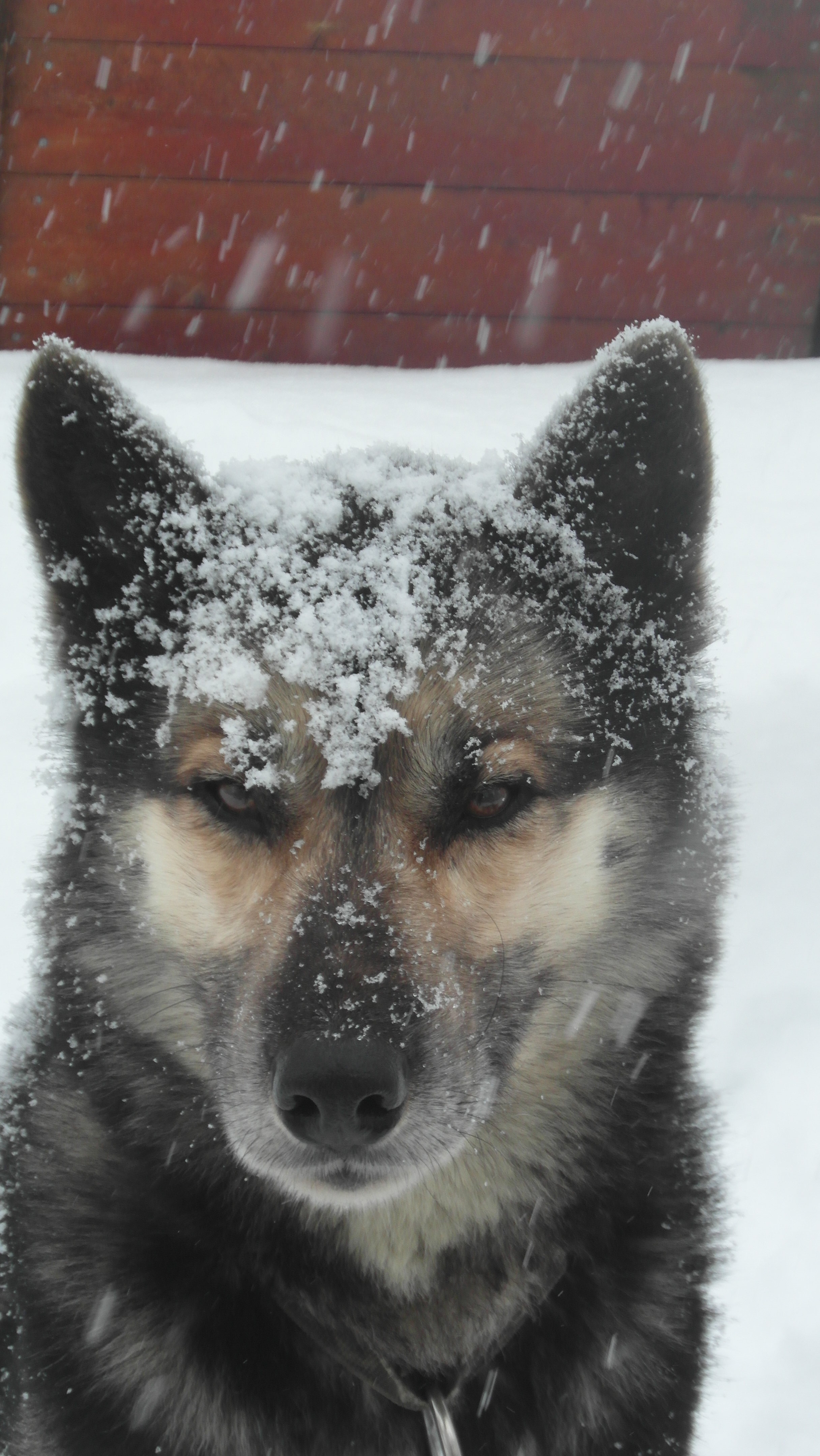 SAM_0760