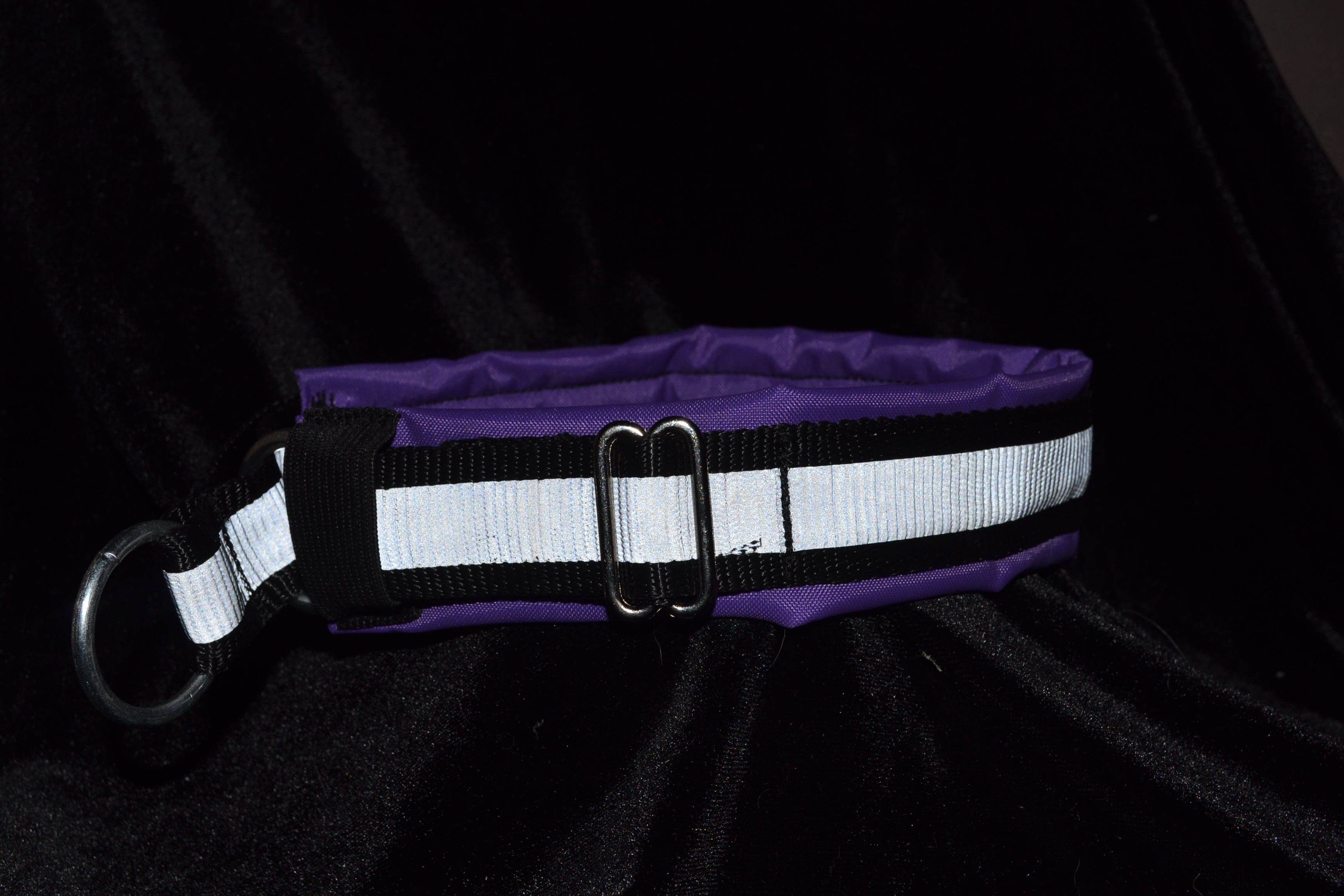 Padded collar