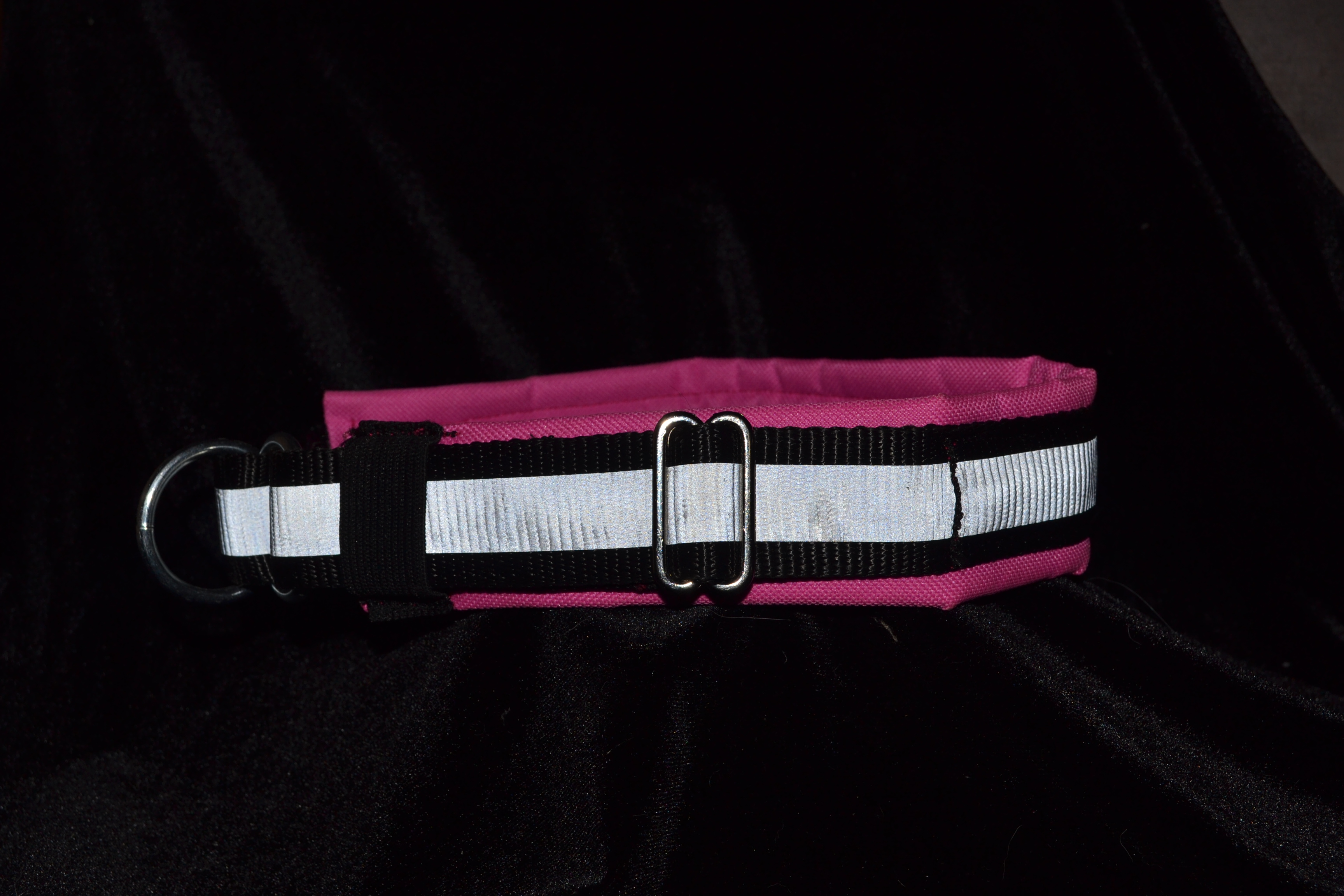 Padded collar2