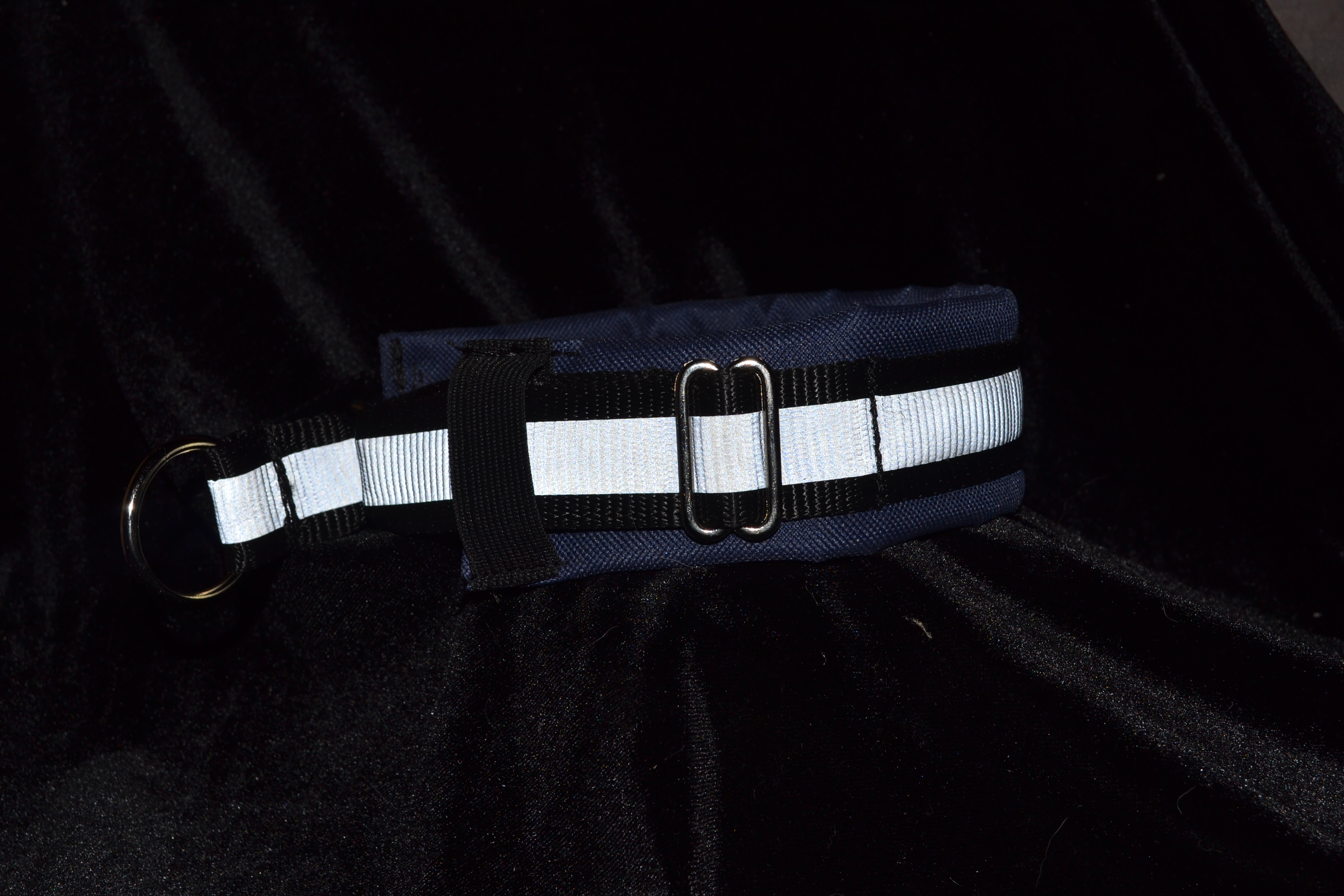 Padded collar3