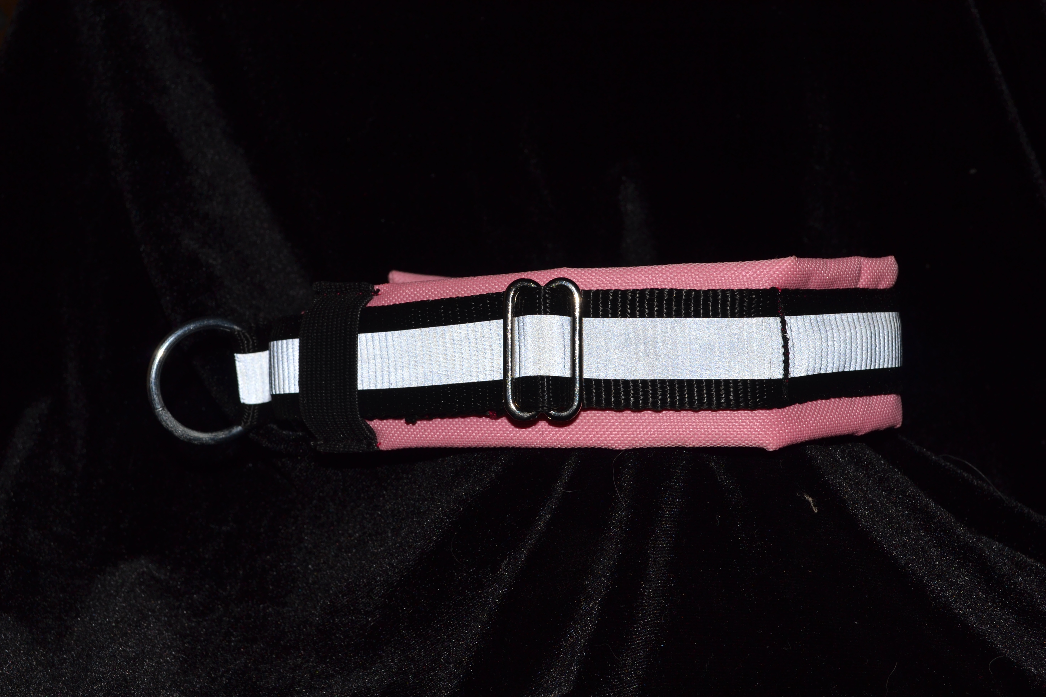 Padded collar4