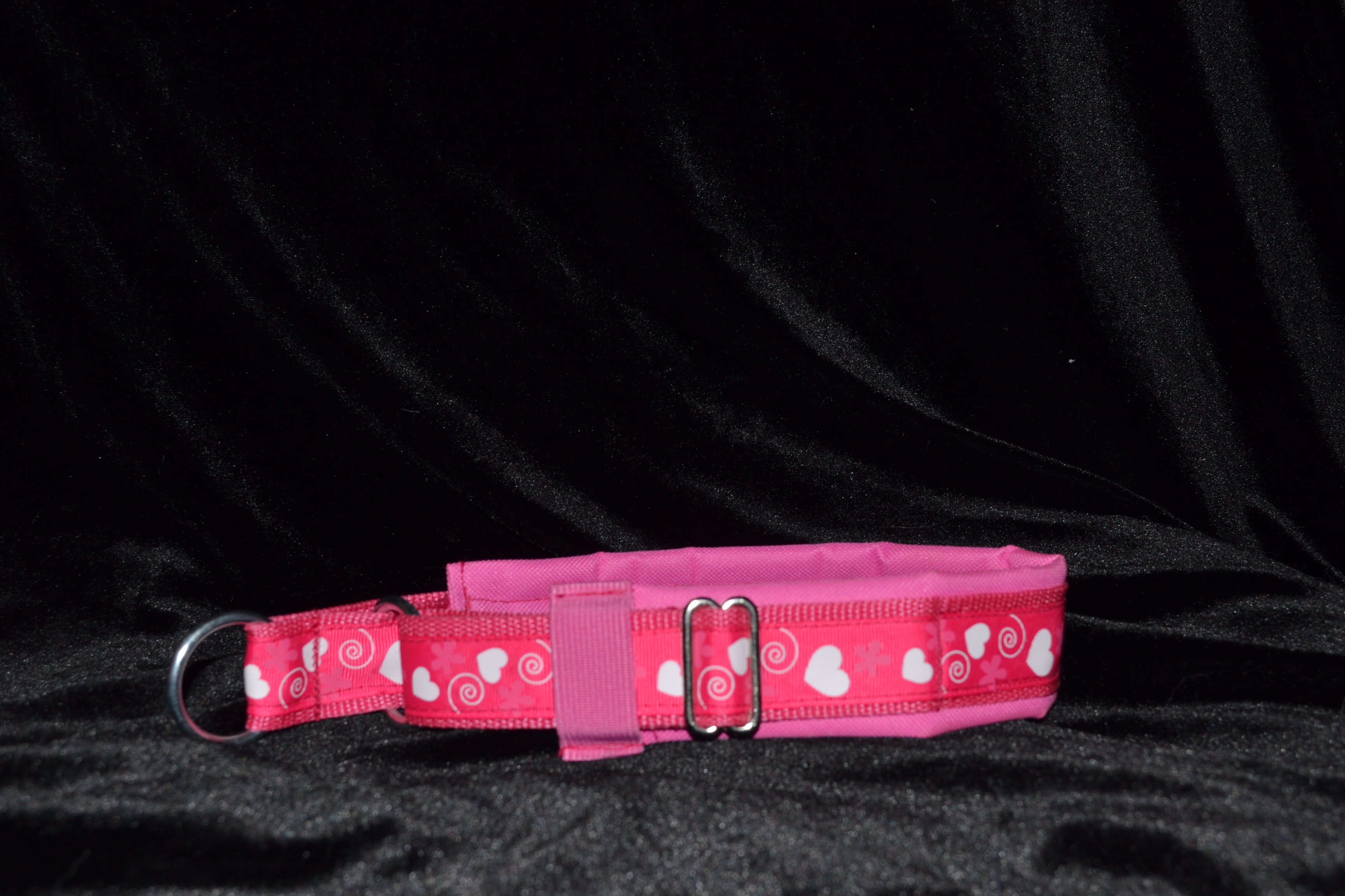 Padded collar5