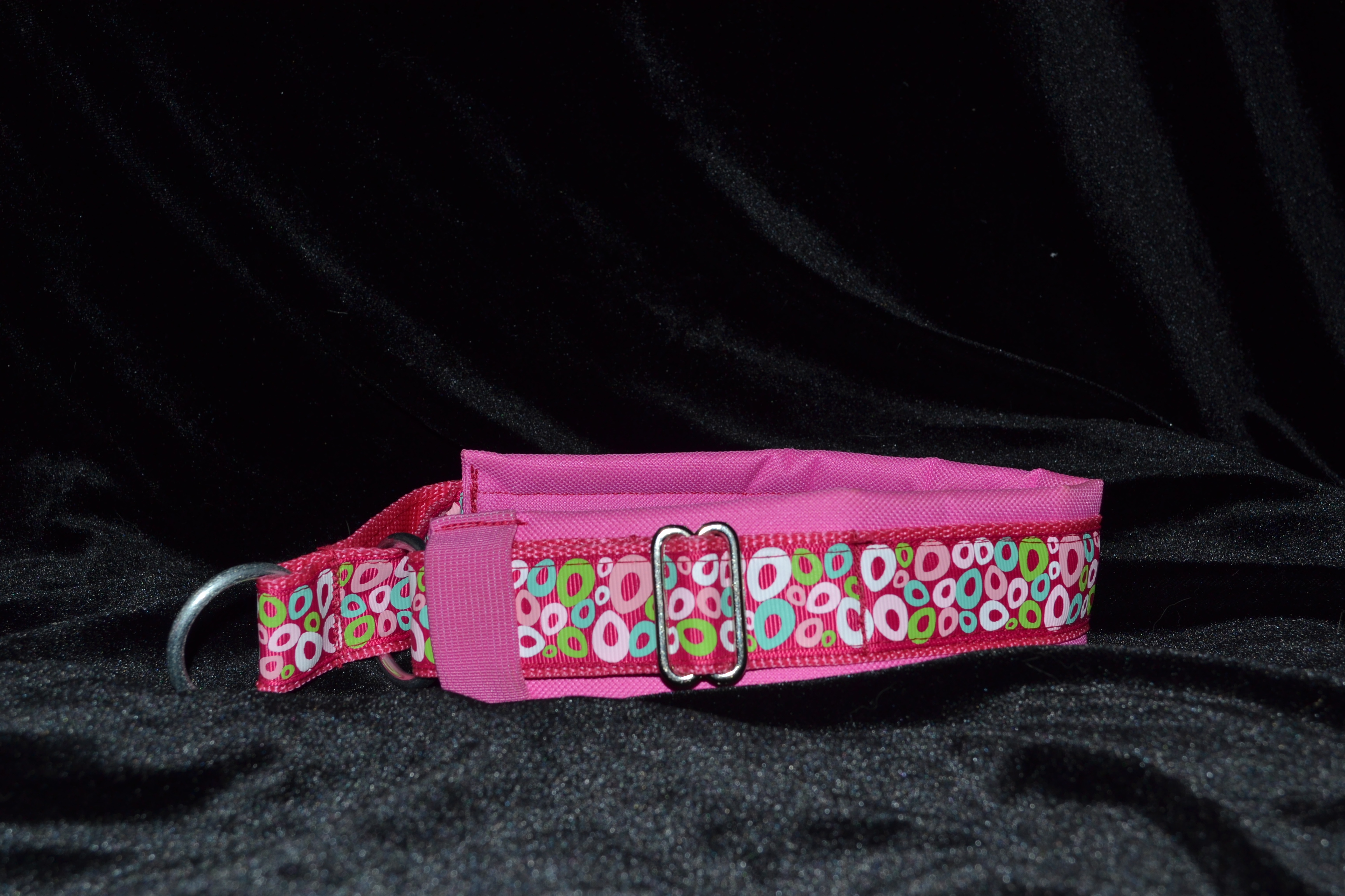 Padded collar6