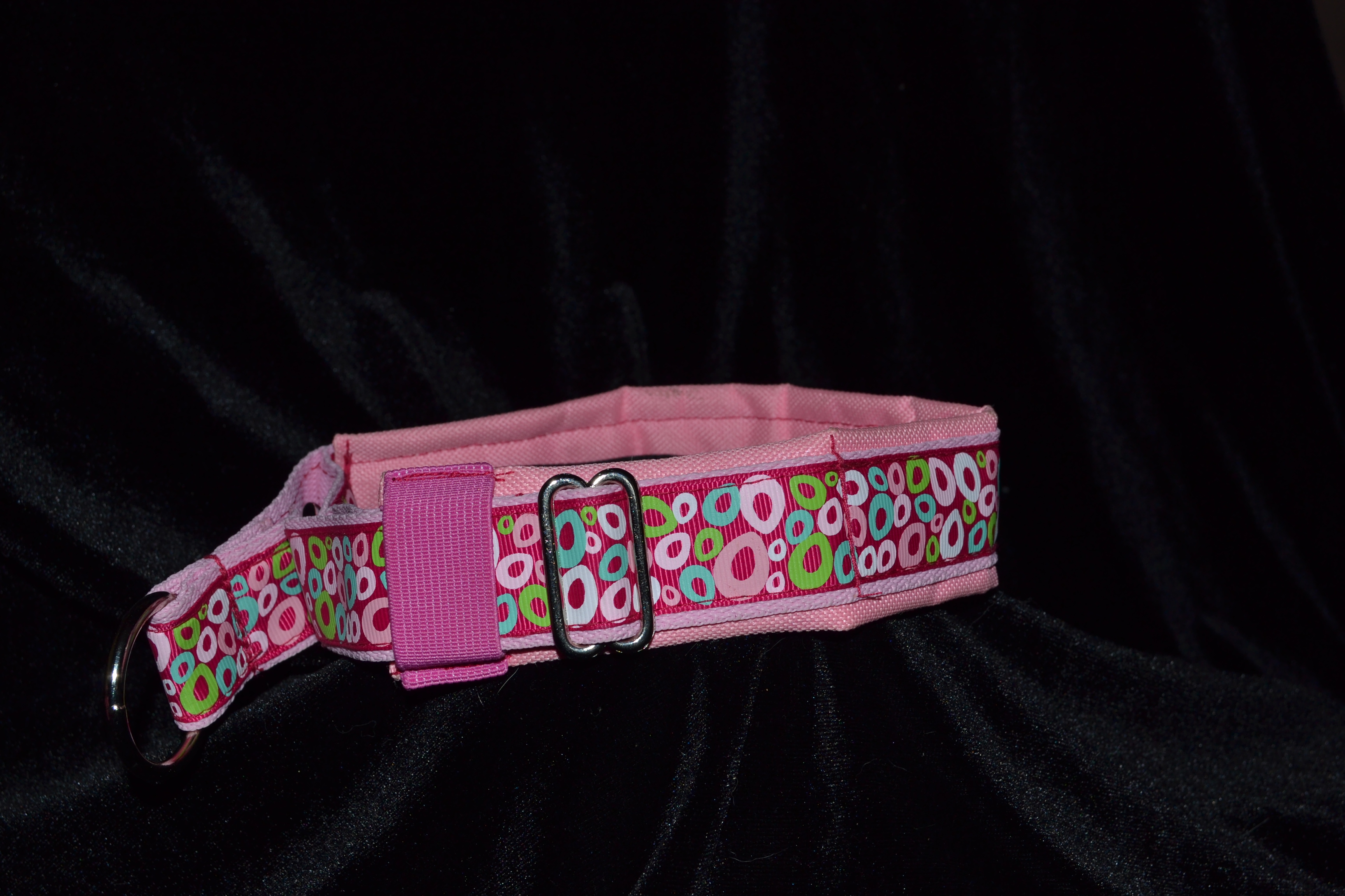 Padded collar7