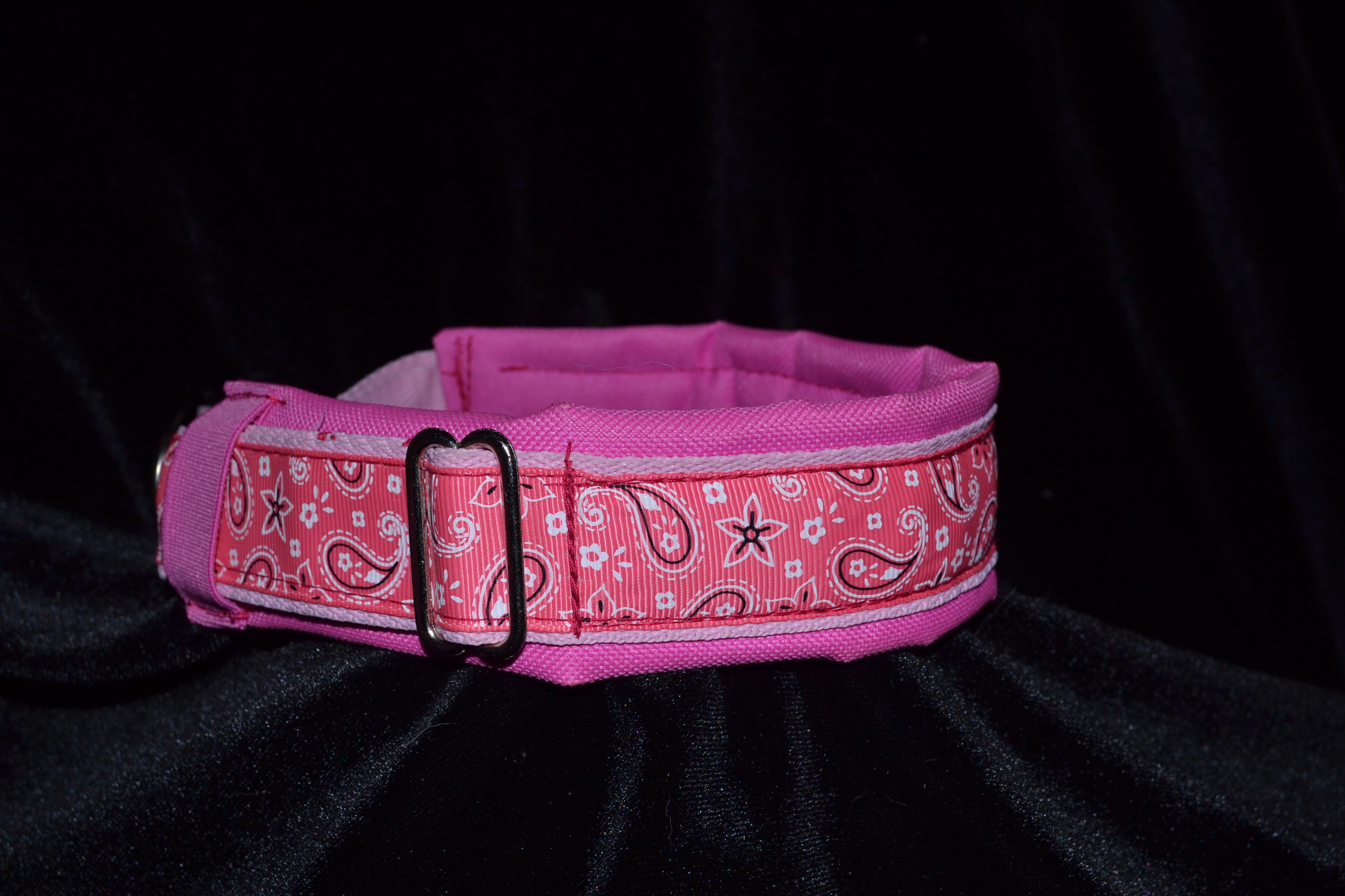 Padded collar8