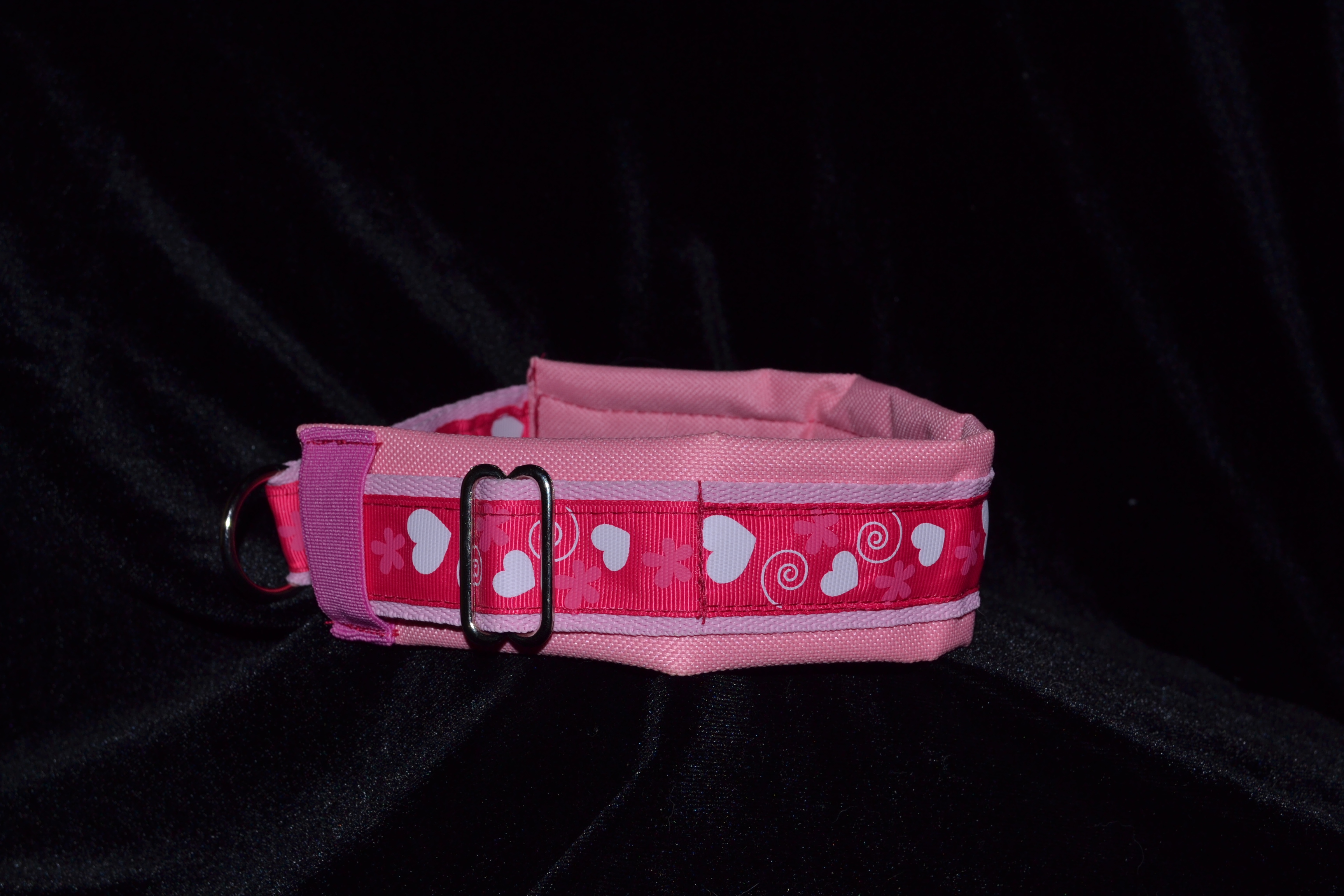 Padded collar9