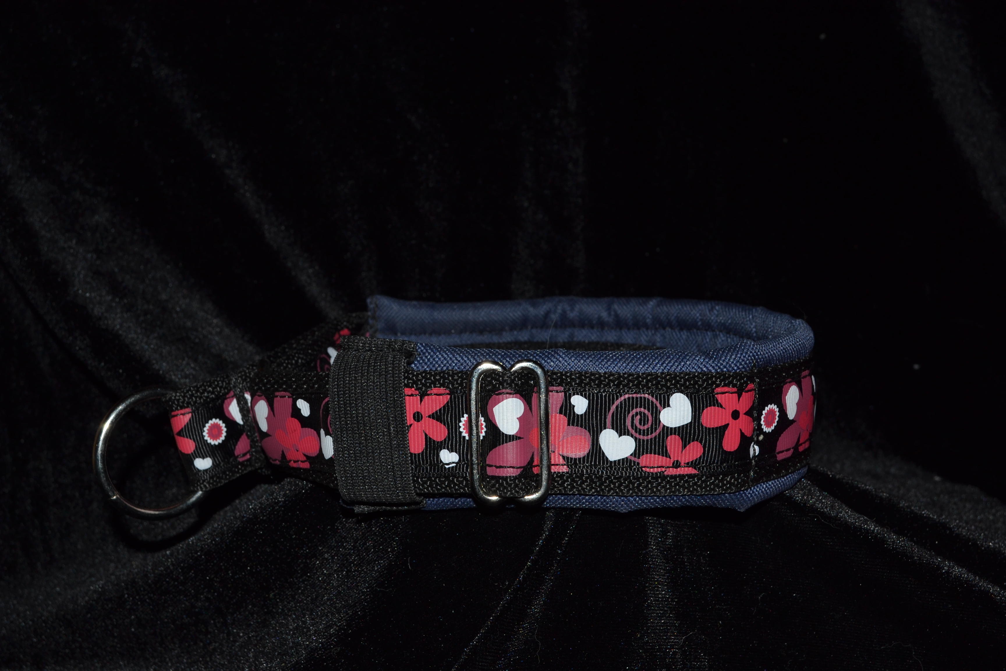 Padded collar10