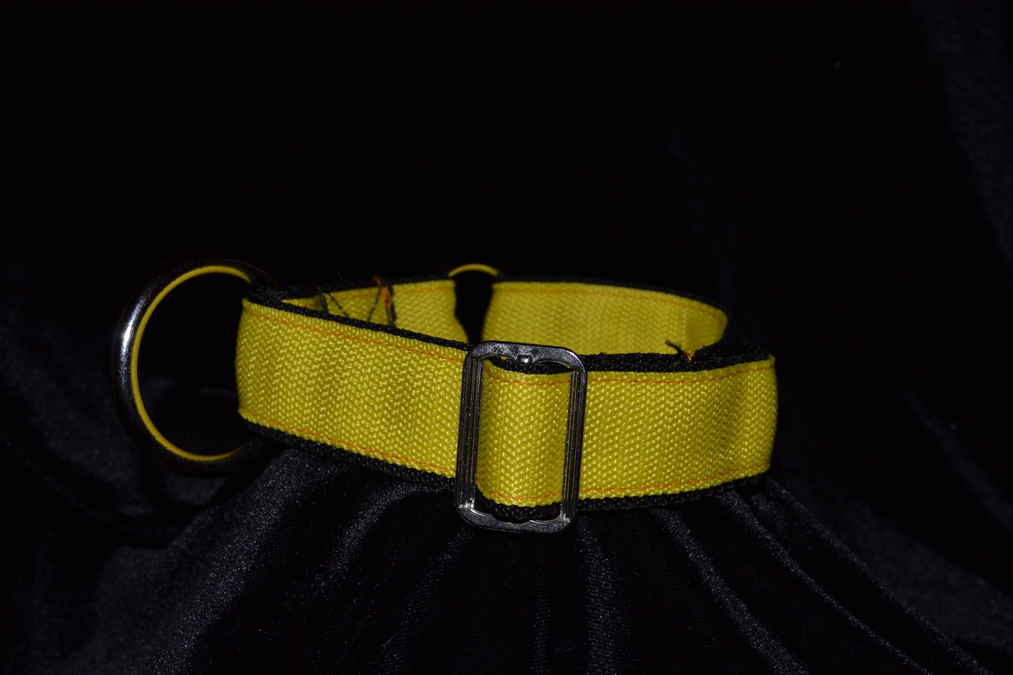 Yellow sport collar