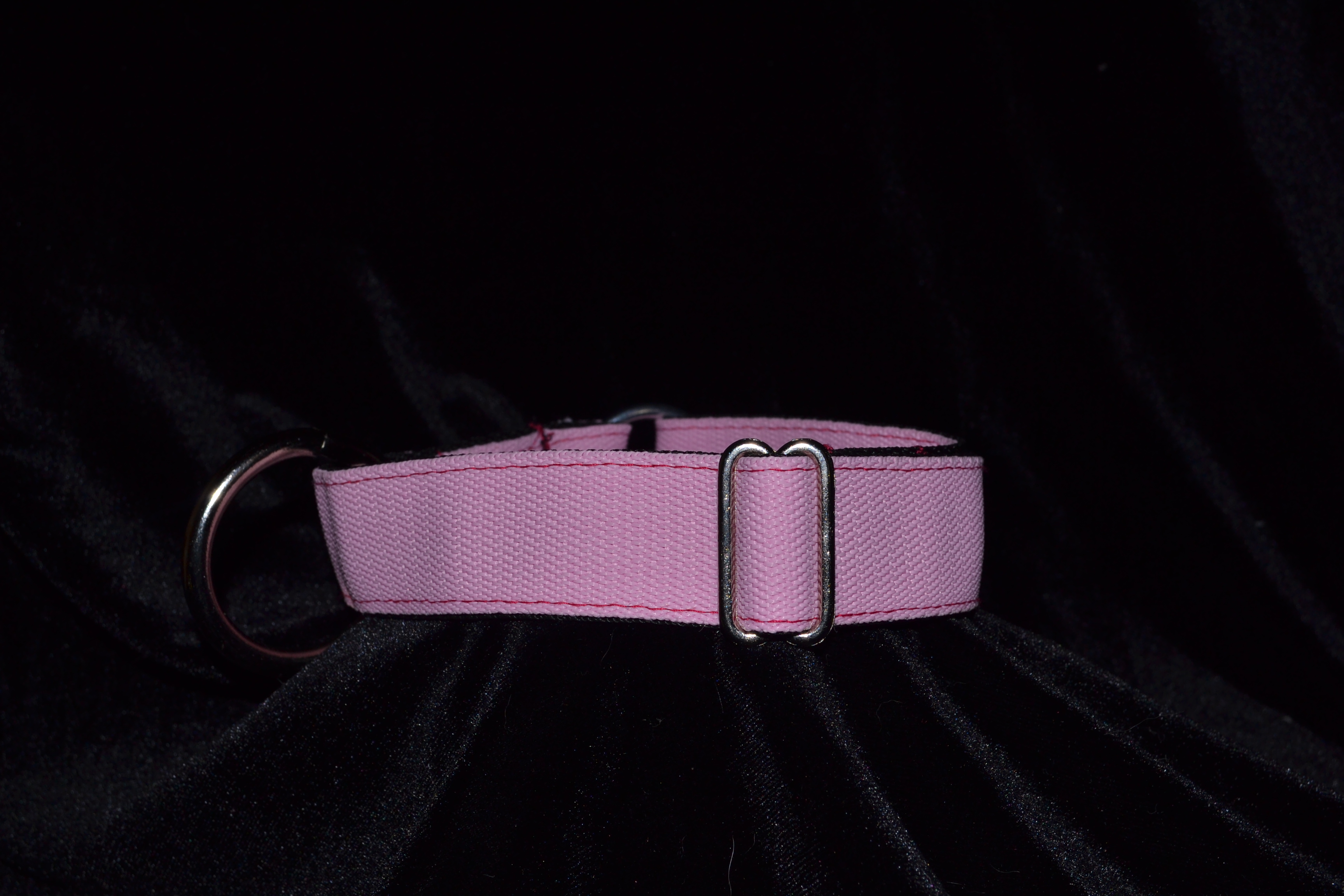 Pink sport collar