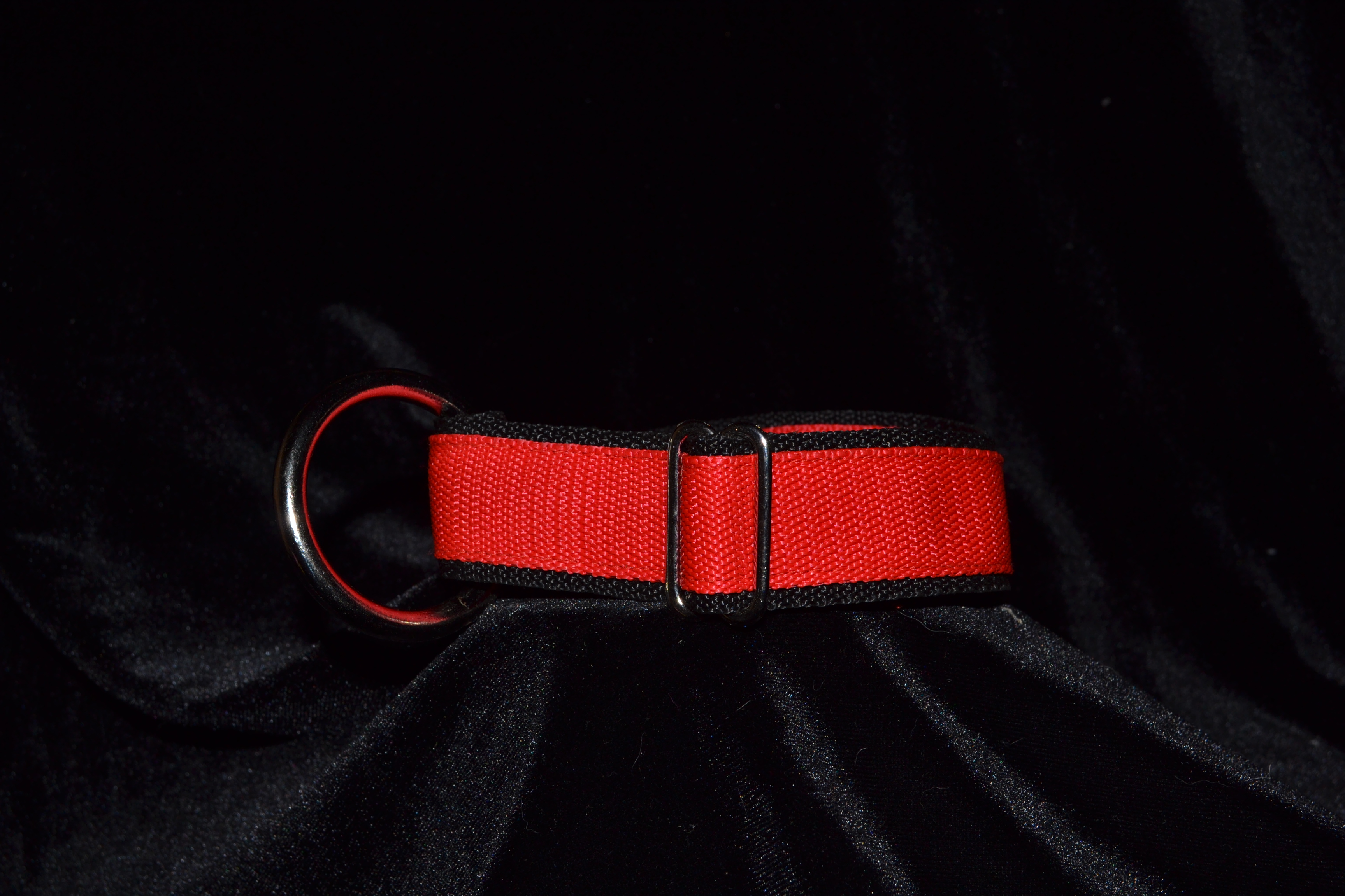 Red sport collar