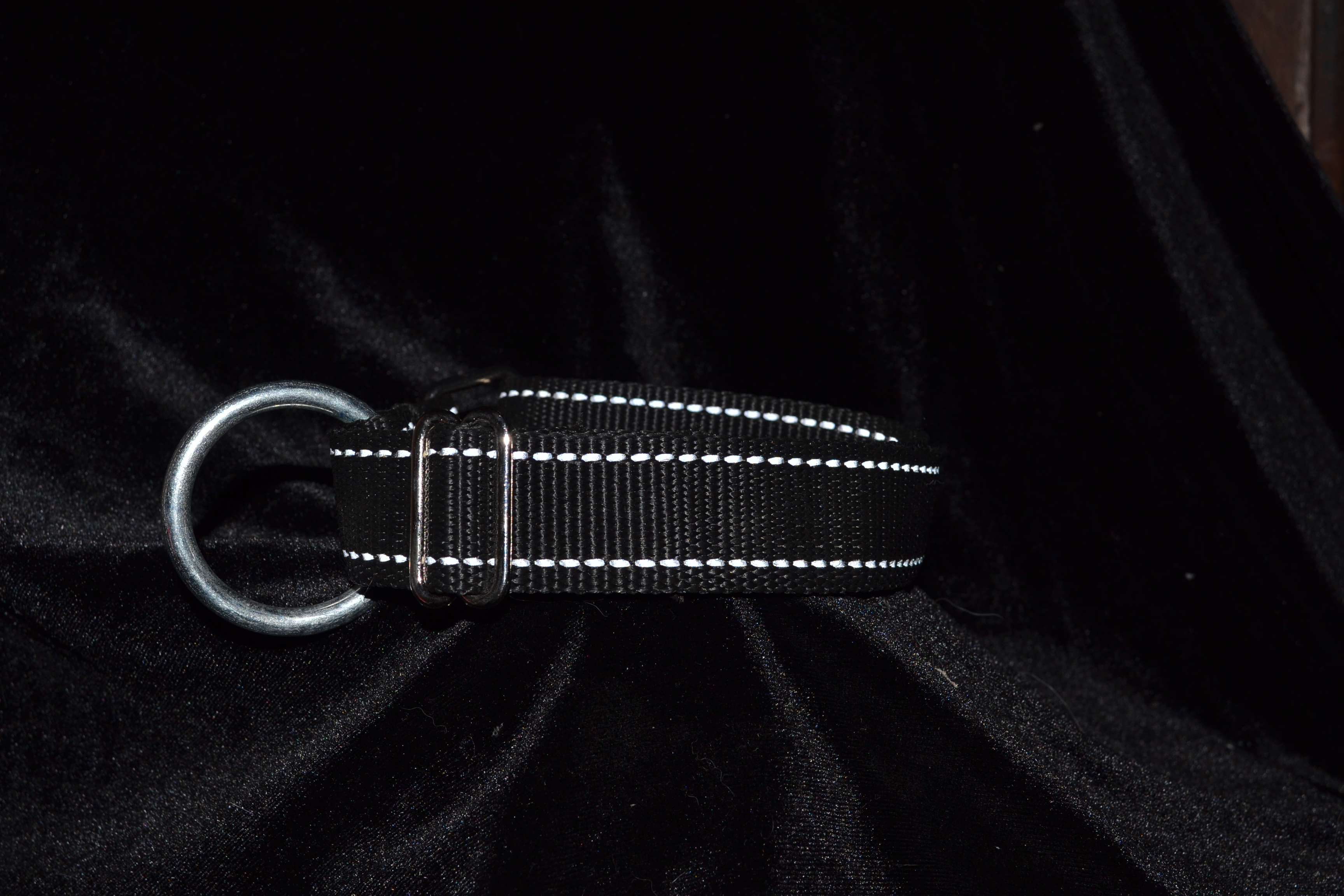 Sport collar with reflection