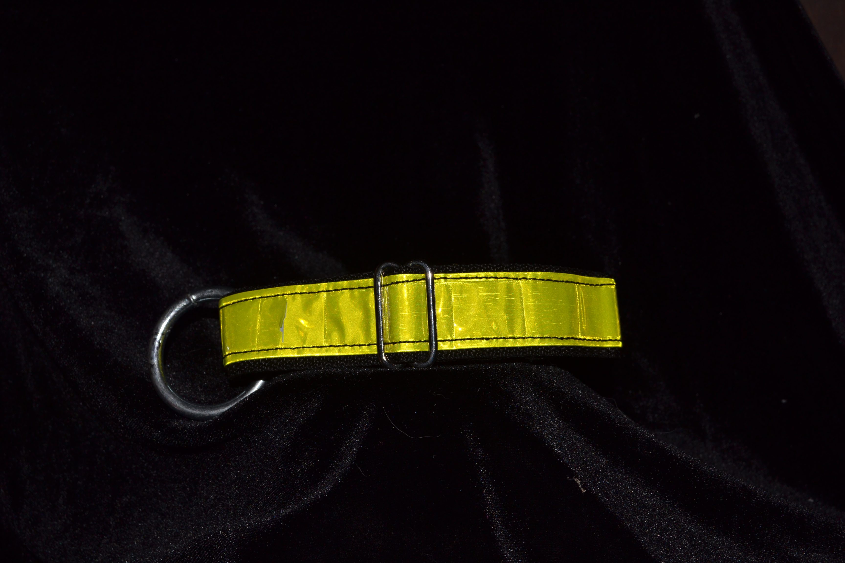 Collar with yellow reflection...