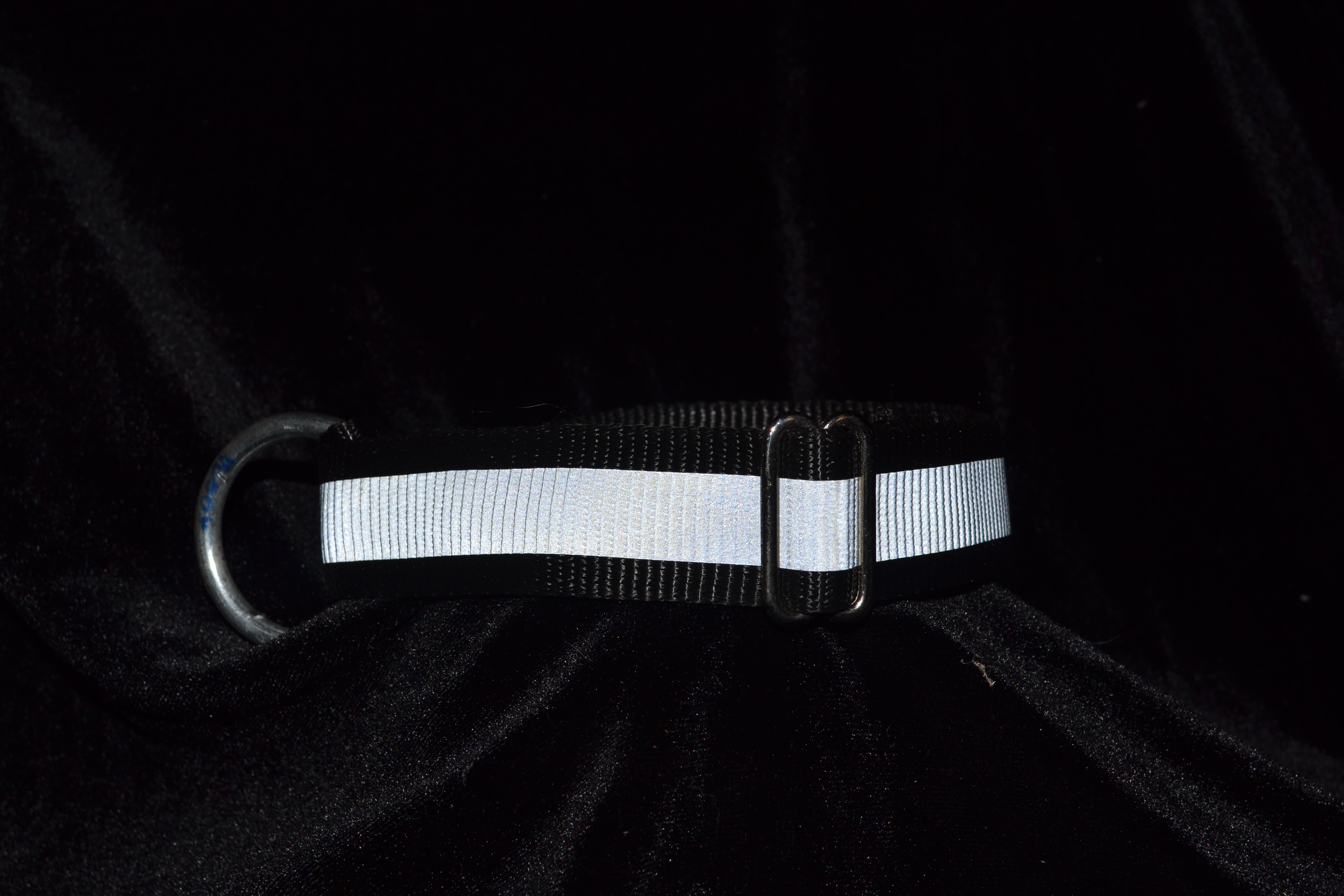 Black collar with reflection