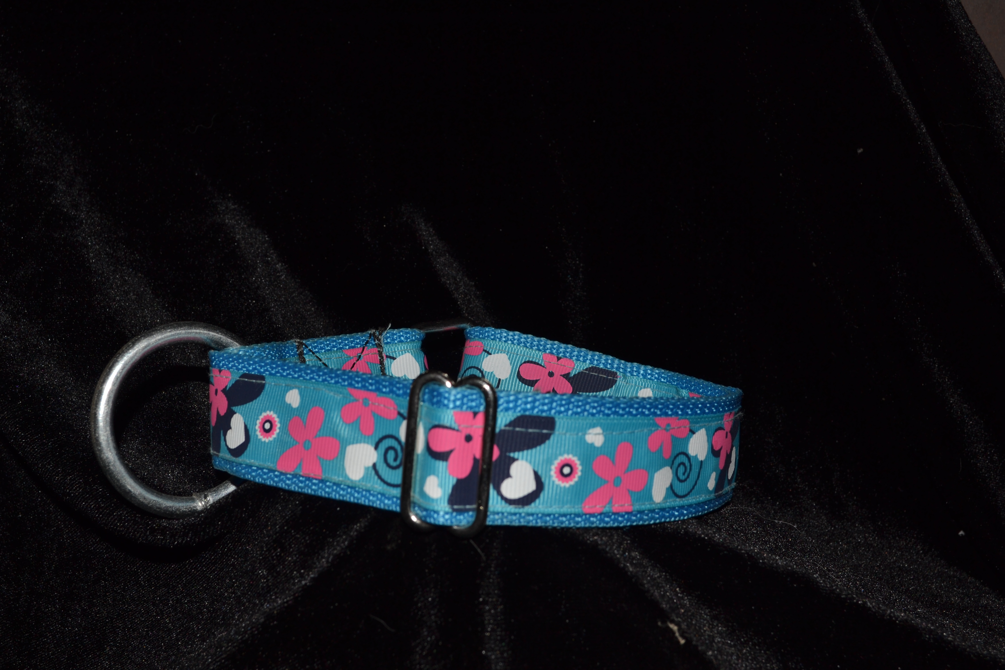 Blue collar with blue ribbon