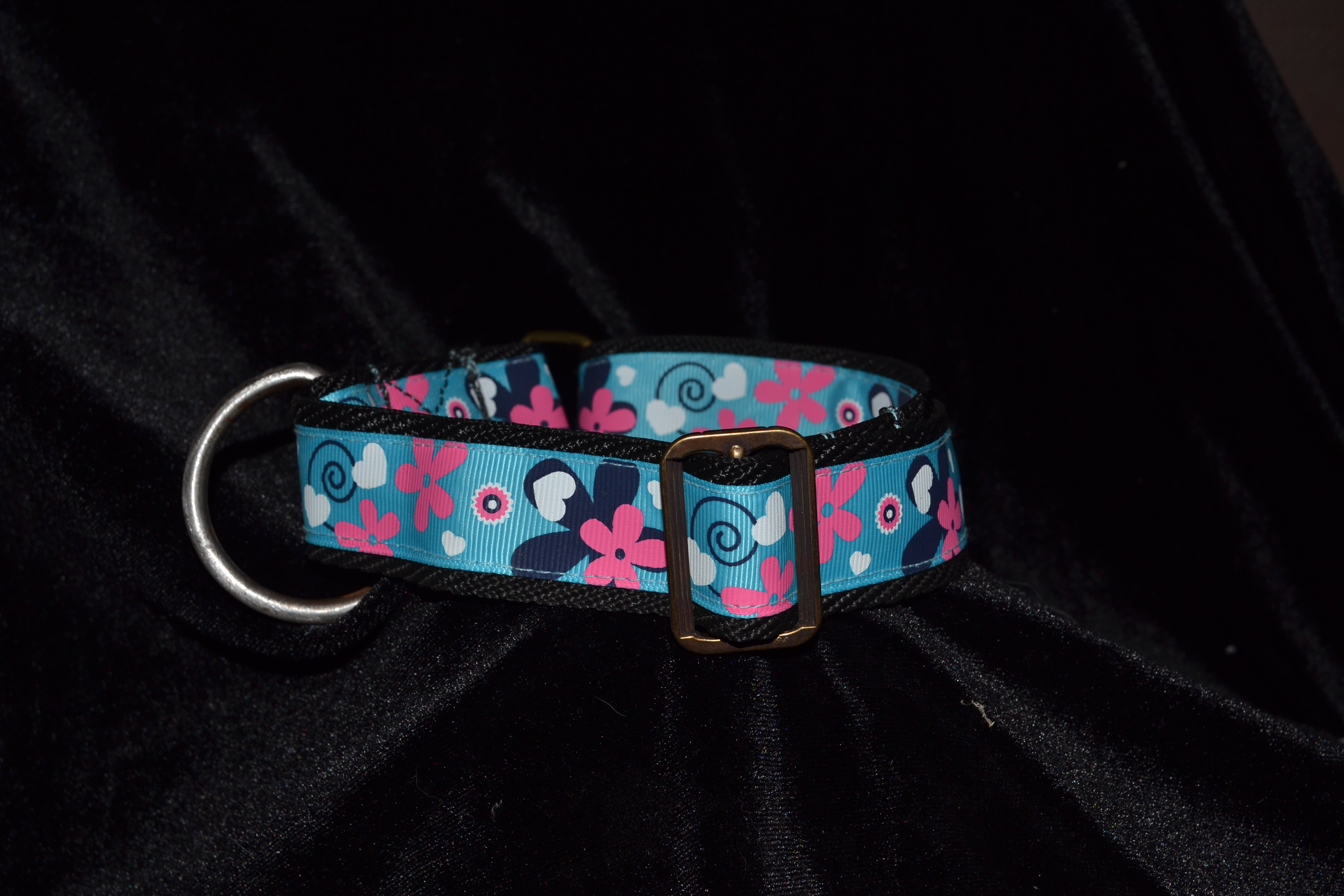Black collar with flowers on blue ribbon