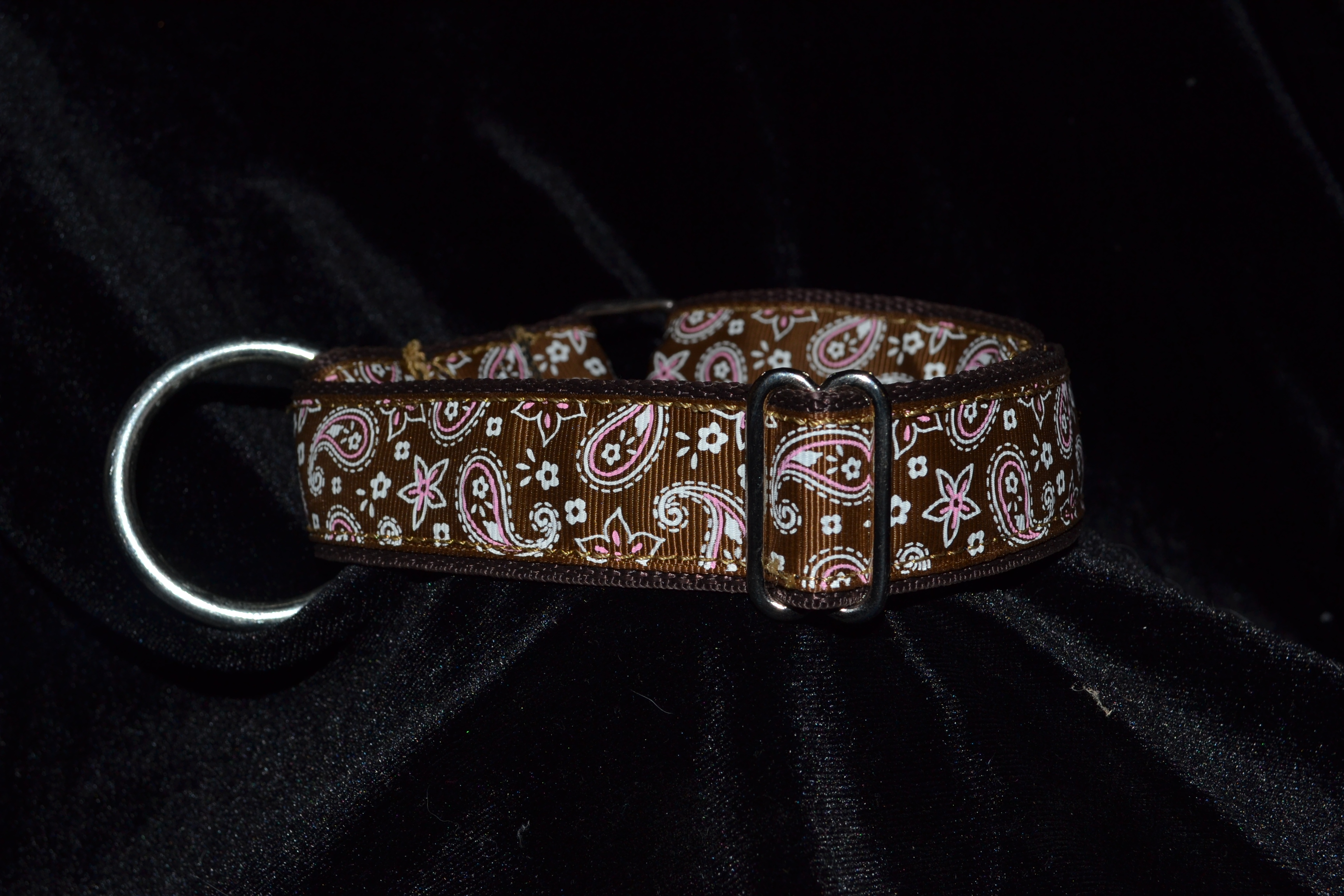 Brown collar with brown ribbon with golden sewing