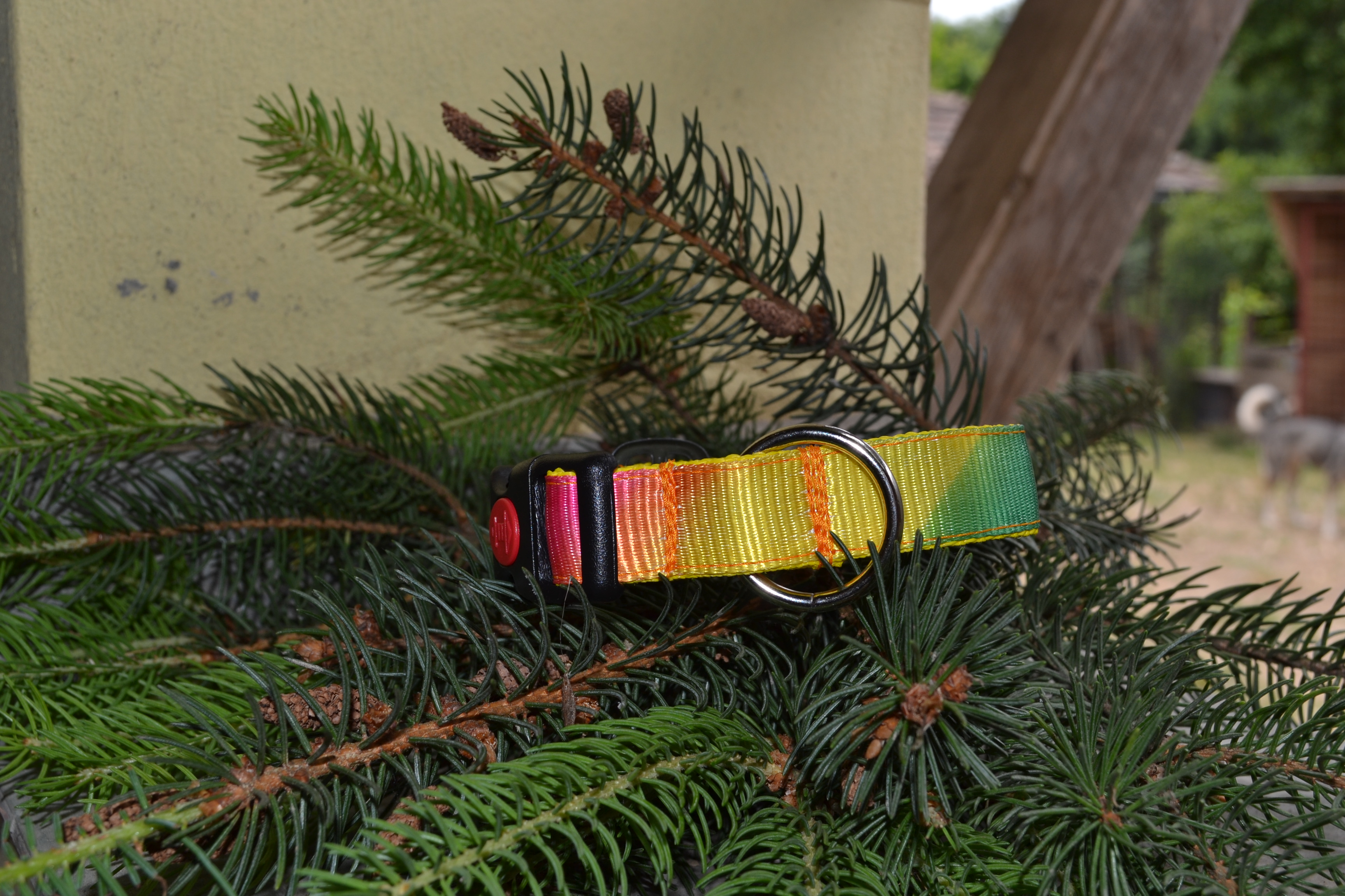Rainbow collar for smaller dogs with safety-catch