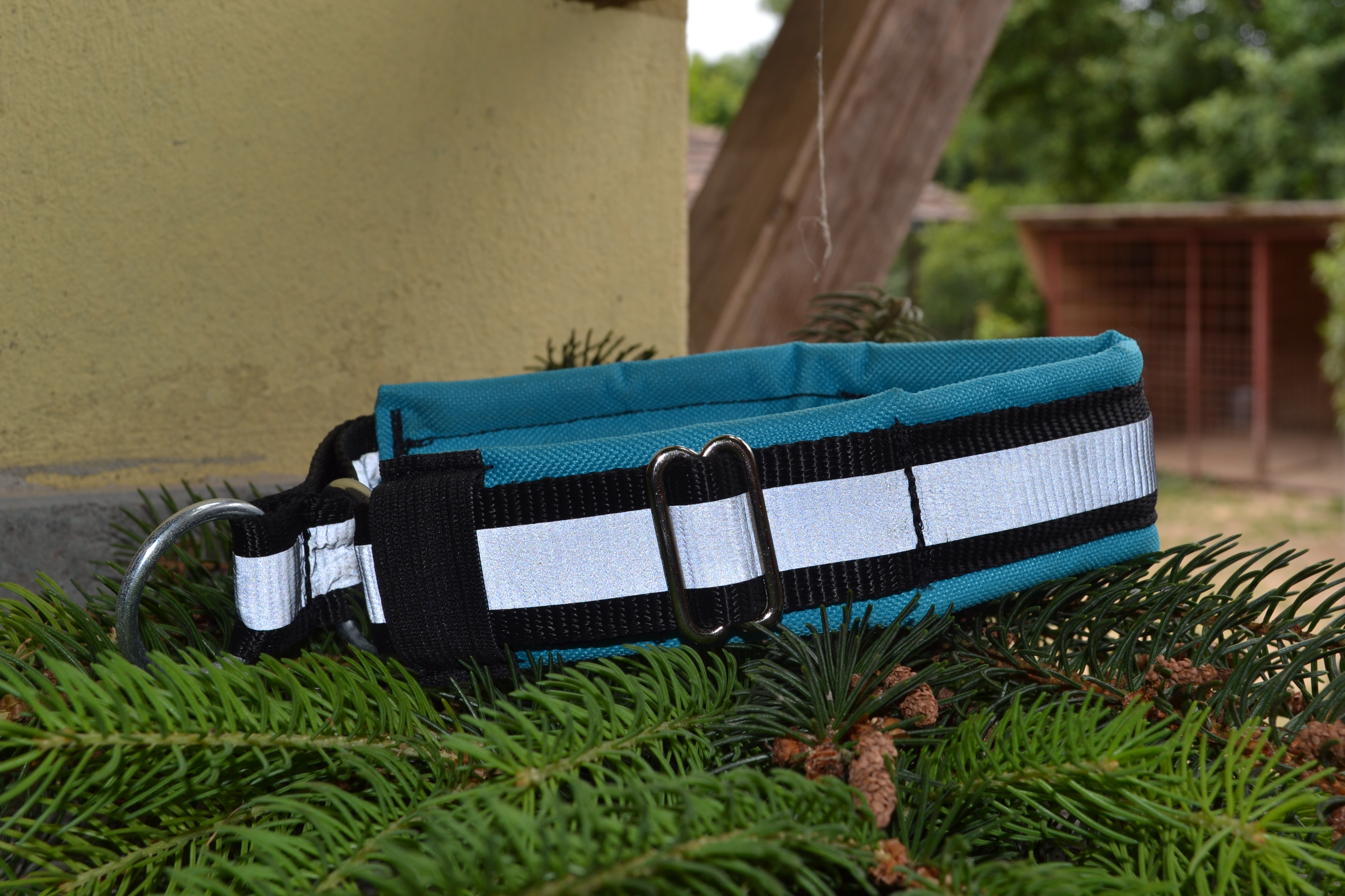 Blue padded collar with reflection