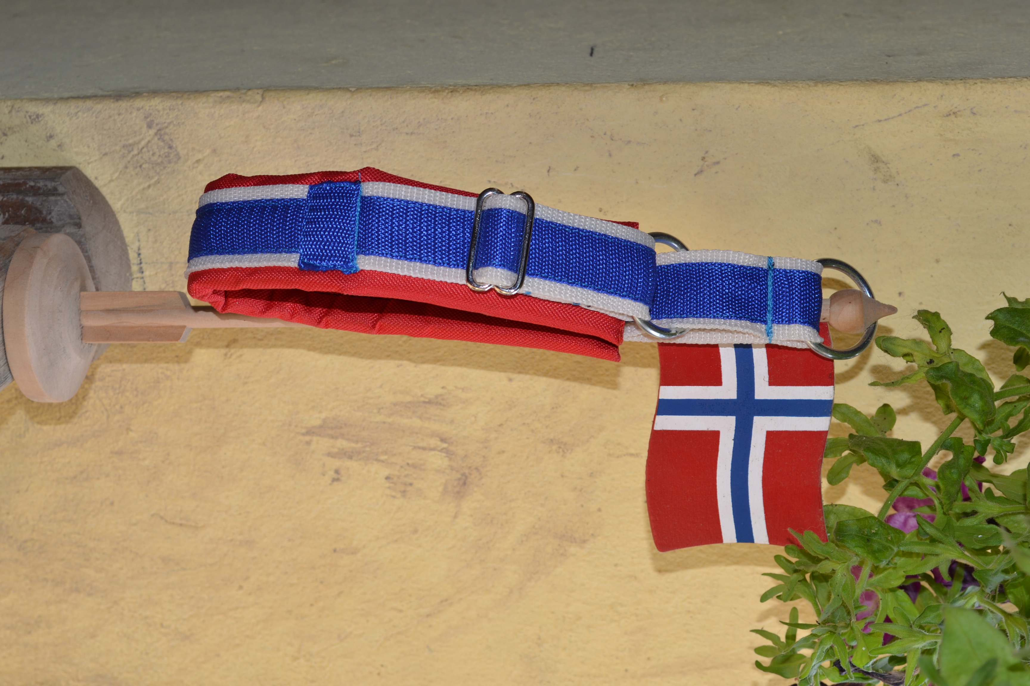 Norwegian Flag collar