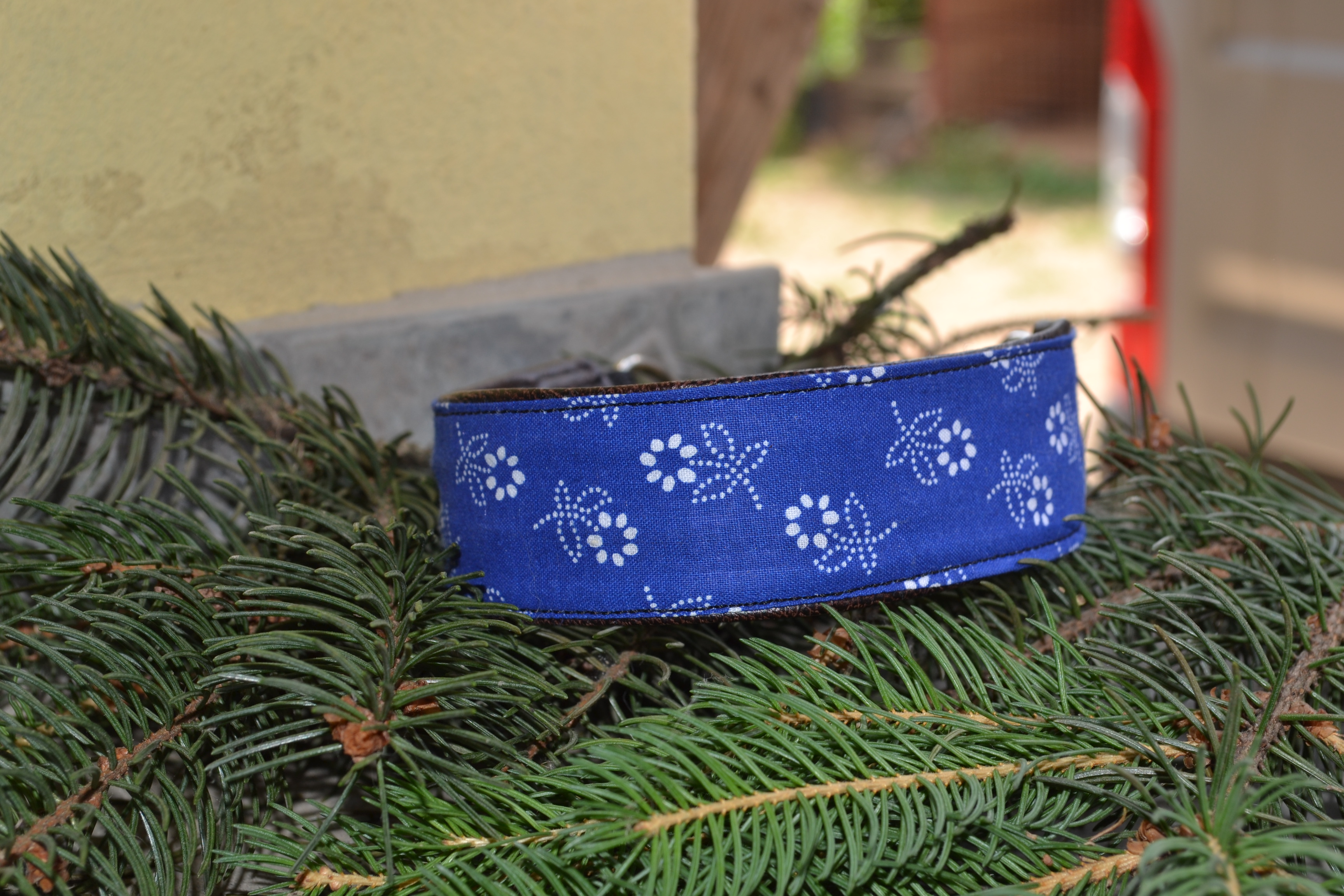 DSC_2436