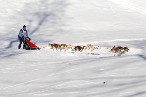 tanana-mit-slater_pici.jpg