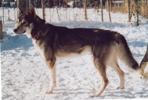 slater-002_pici.jpg