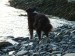 2011_april (21)