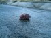 2011_april (33)