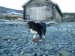 2011_april (26)