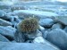 2011_april (25)