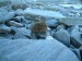 2011_april (24)