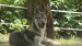 SAM_1471