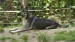 SAM_1468