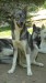 SAM_1596