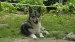 SAM_1479